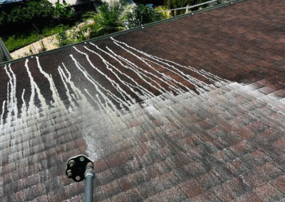 Roof Cleaning