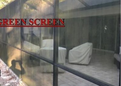 Lanai Screen Cleaning